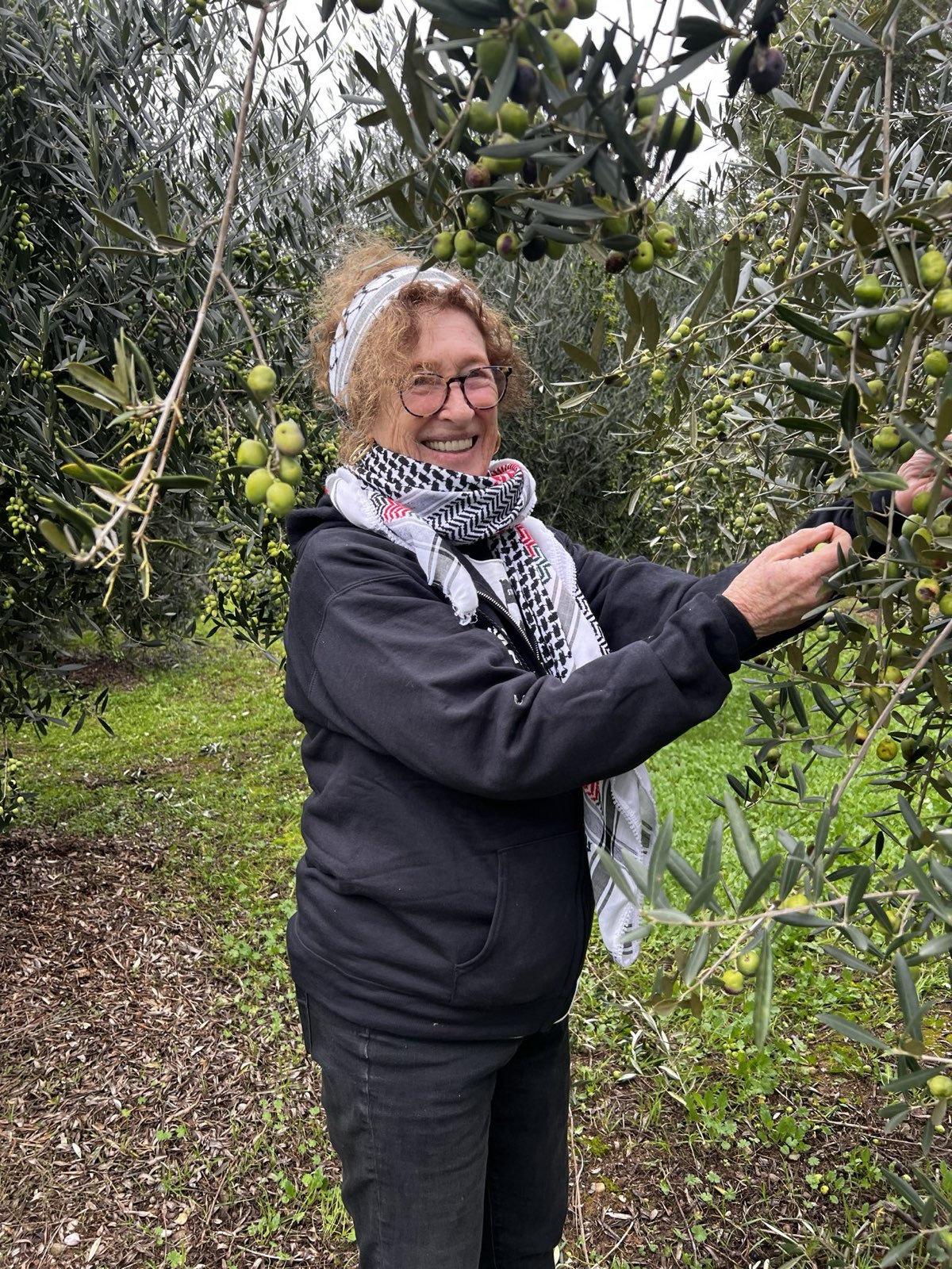 Carol Bloom. A woman stands in a woody area harvesting fruit.  She wears black comfortable clothing with a keffiyeh (Palestinian Scarf).  She has curly red hair, glasses and a big smile.